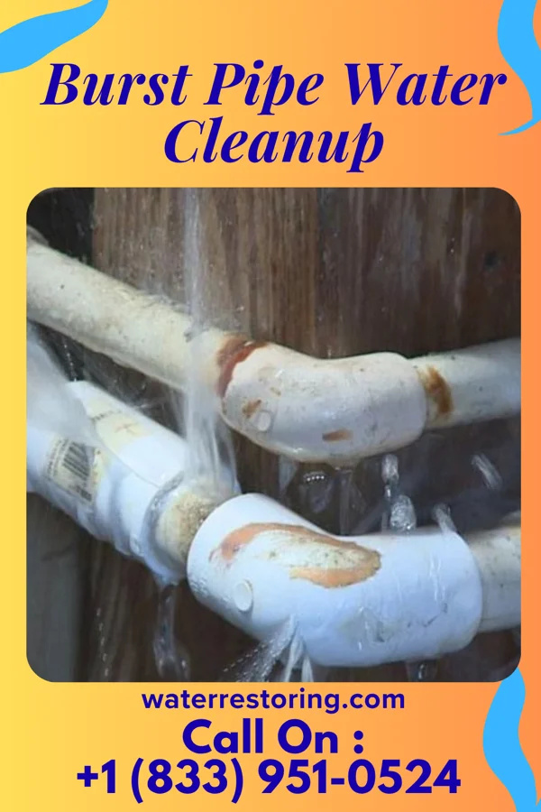 Burst Pipe Water Cleanup in Parma Heights, OH