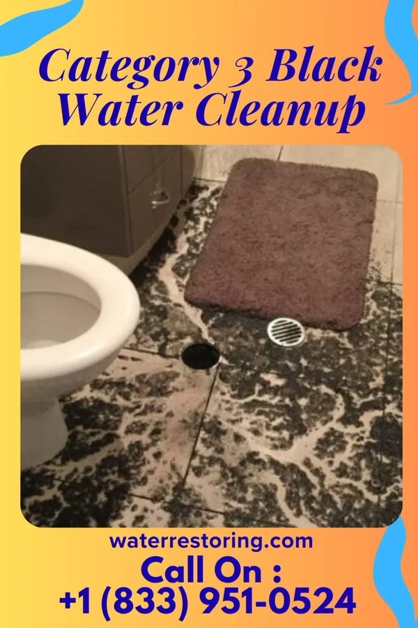 Category 3 Black Water Cleanup in Parma Heights, OH