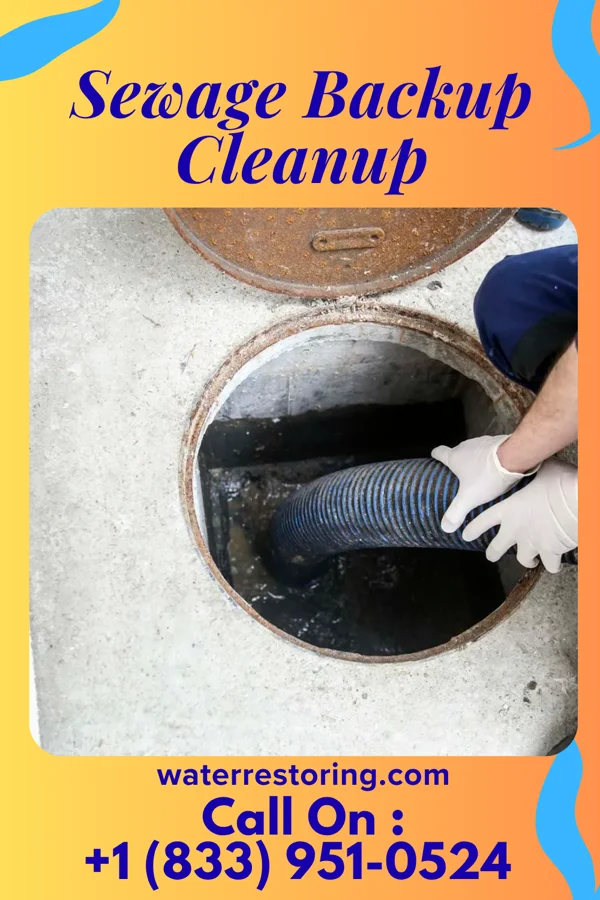 Sewage Backup Cleanup in Parma Heights, OH