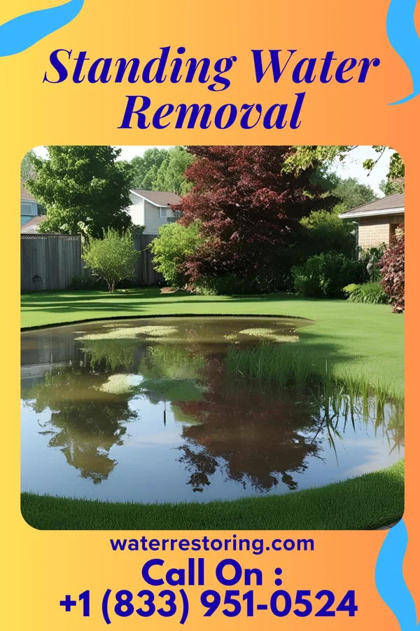Standing Water Removal in Parma Heights, OH